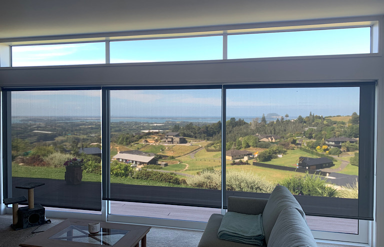 Sunscreen Blinds