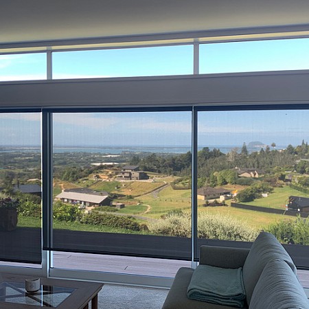 Sunscreen Roller Blinds - Great View!