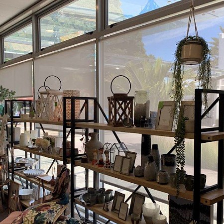 Shop Sunscreen Roller Blinds